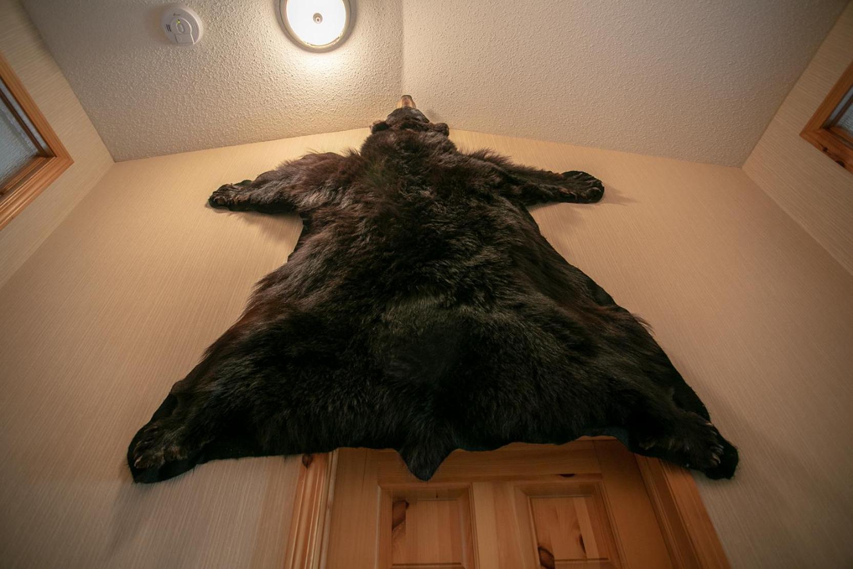 Banff Wood Lodge Canmore Dış mekan fotoğraf