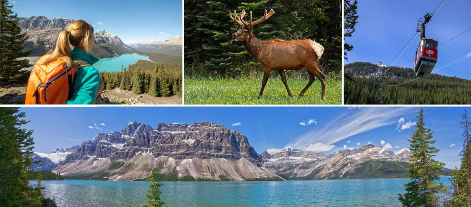 Banff Wood Lodge Canmore Dış mekan fotoğraf